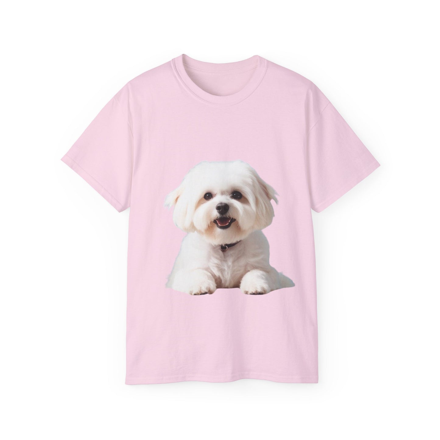 🐕 Bichon Frisé - Maglietta Unisex Ultra Cotone con Design Esclusivo