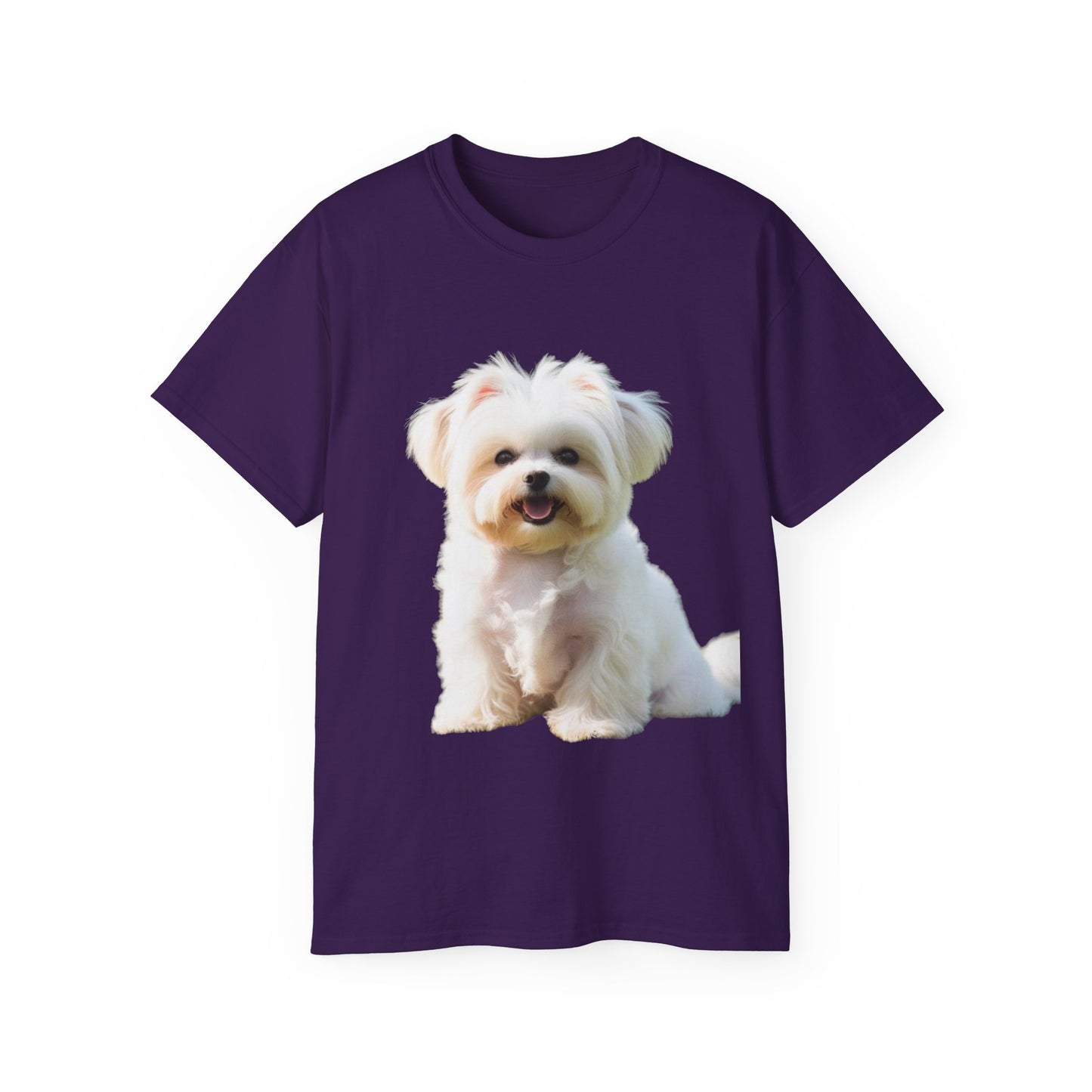 🐕 MAGLIETTA BICHON MALTEZ RITRATO - Maglietta Unisex Ultra Cotone