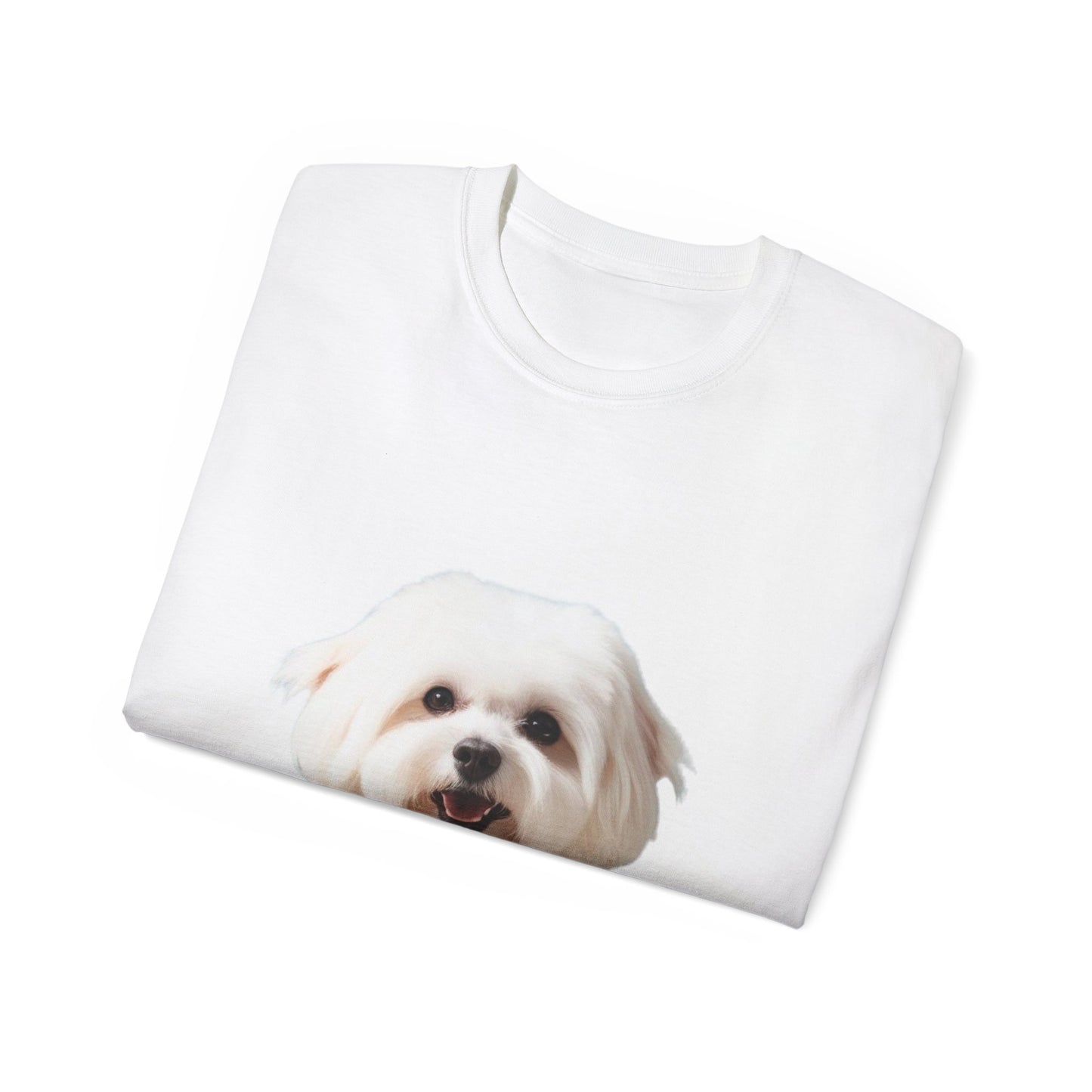 🐕 Bichon Frisé - Maglietta Unisex Ultra Cotone con Design Esclusivo