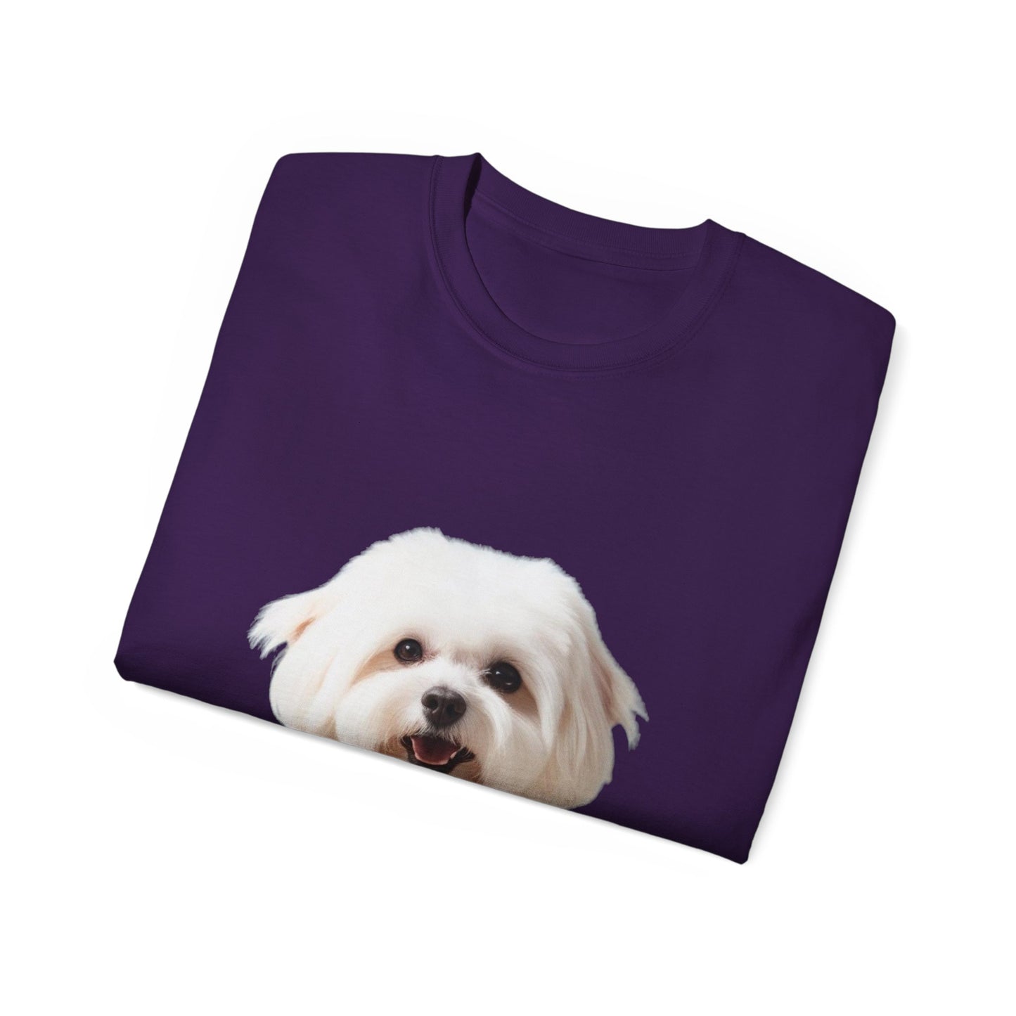 🐕 Bichon Frisé - Maglietta Unisex Ultra Cotone con Design Esclusivo