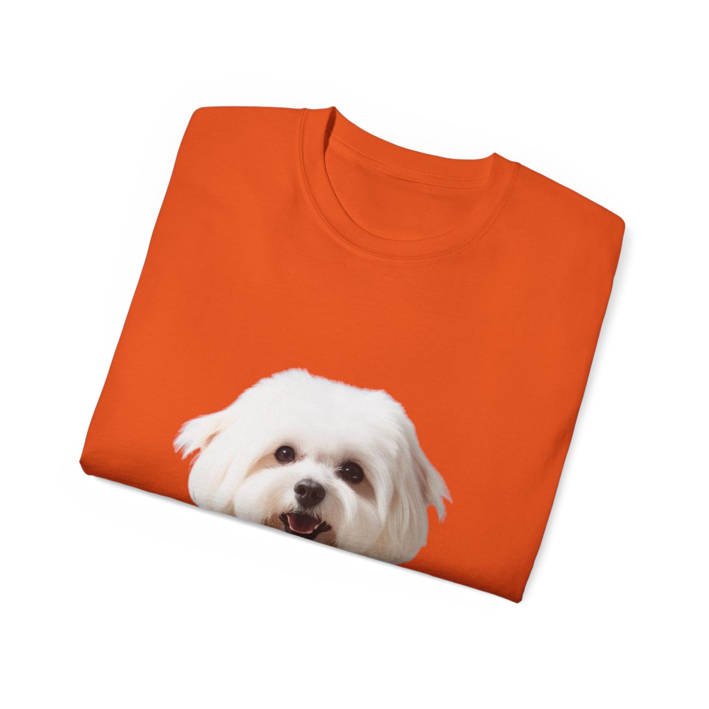 🐕 Bichon Frisé - Maglietta Unisex Ultra Cotone con Design Esclusivo