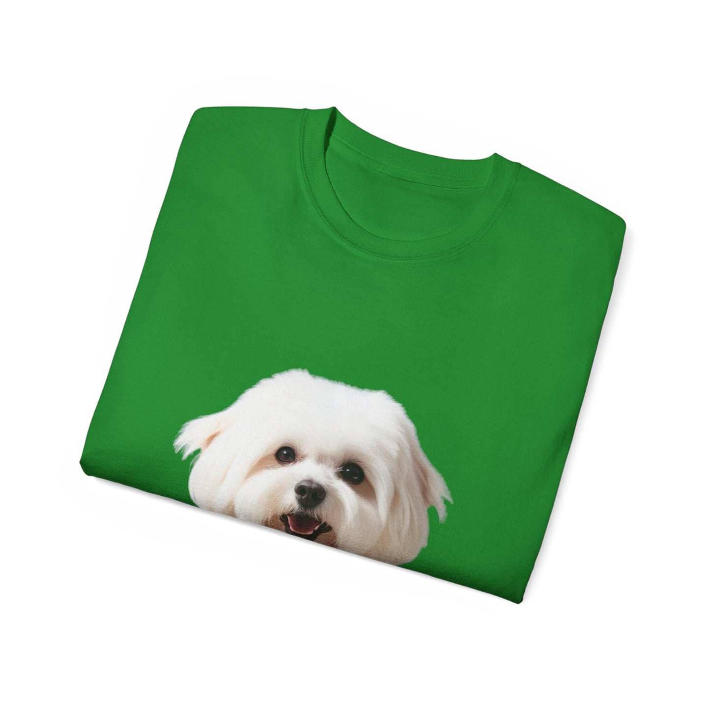 🐕 Bichon Frisé - Maglietta Unisex Ultra Cotone con Design Esclusivo