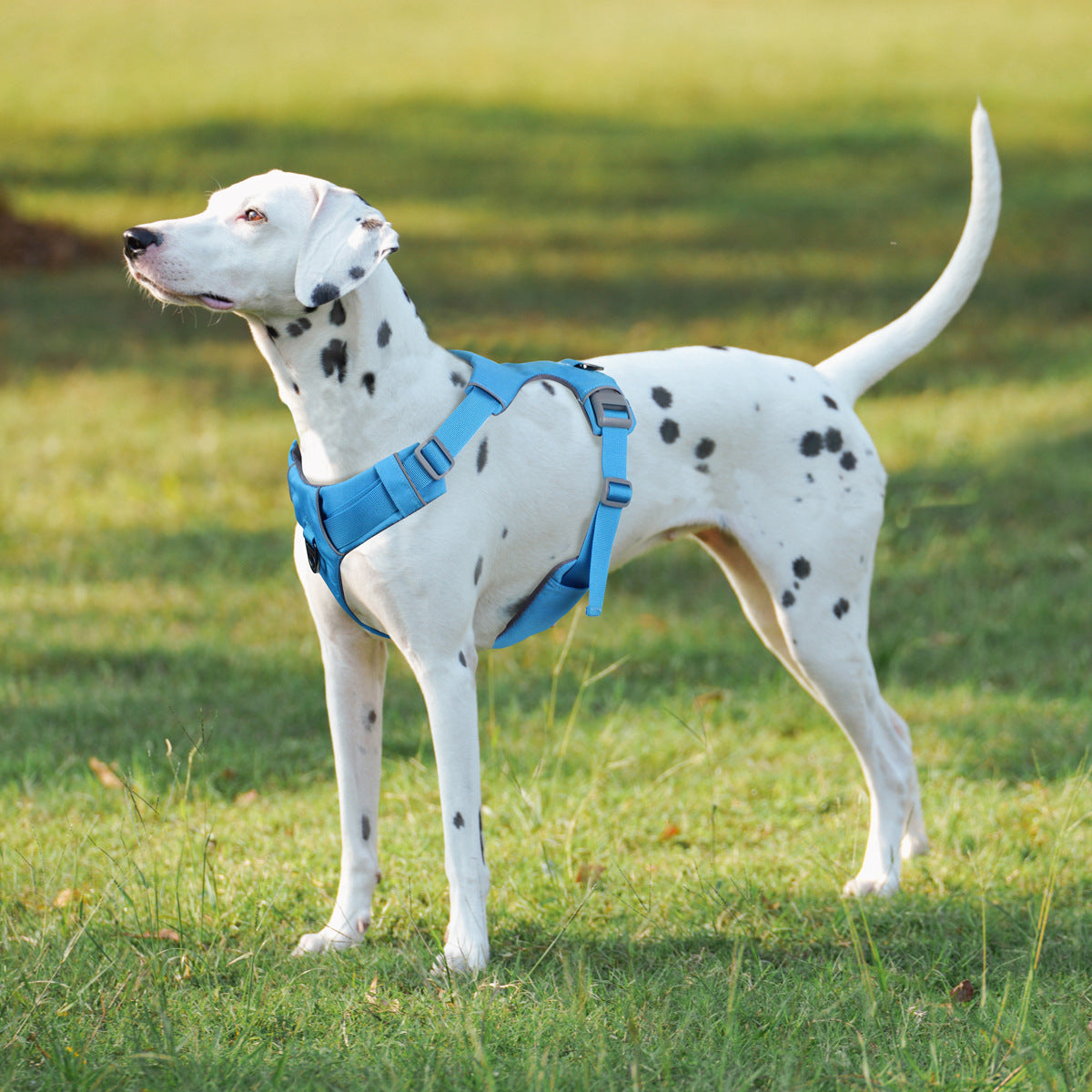 Imbracatura di sicurezza per cani, con funzione No-pull, durevole e comoda, adatta per cuccioli e cani di taglia media e grande, con riflettenti 3M.