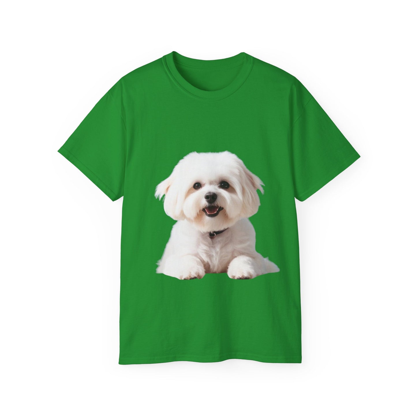 🐕 Bichon Frisé - Maglietta Unisex Ultra Cotone con Design Esclusivo