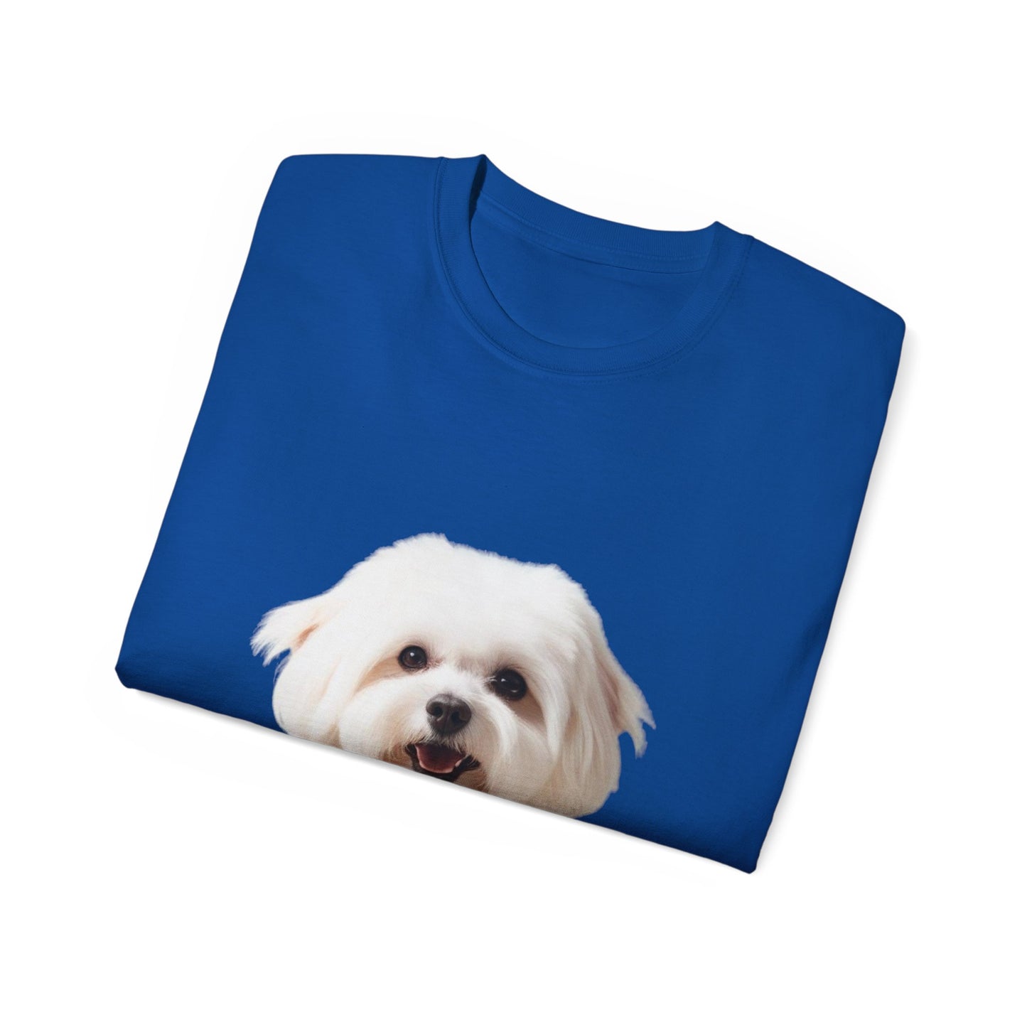 🐕 Bichon Frisé - Maglietta Unisex Ultra Cotone con Design Esclusivo