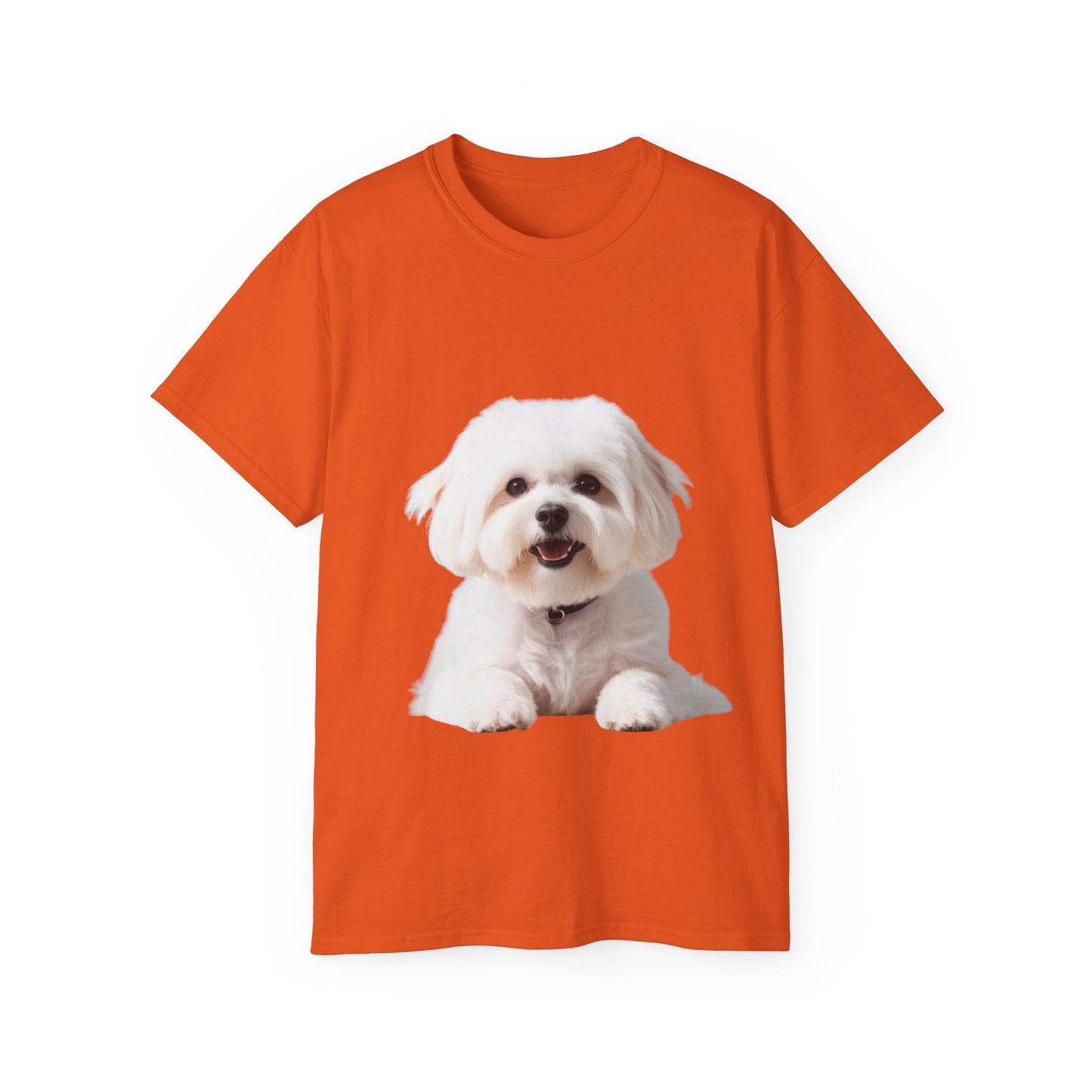 🐕 Bichon Frisé - Maglietta Unisex Ultra Cotone con Design Esclusivo