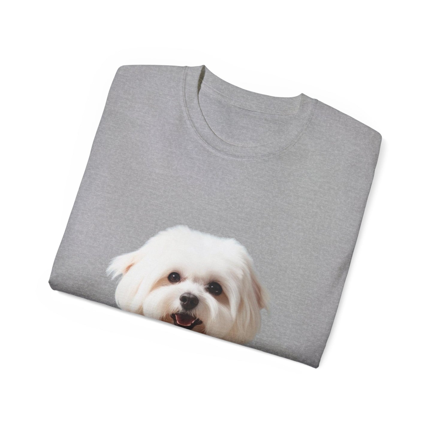 🐕 Bichon Frisé - Maglietta Unisex Ultra Cotone con Design Esclusivo