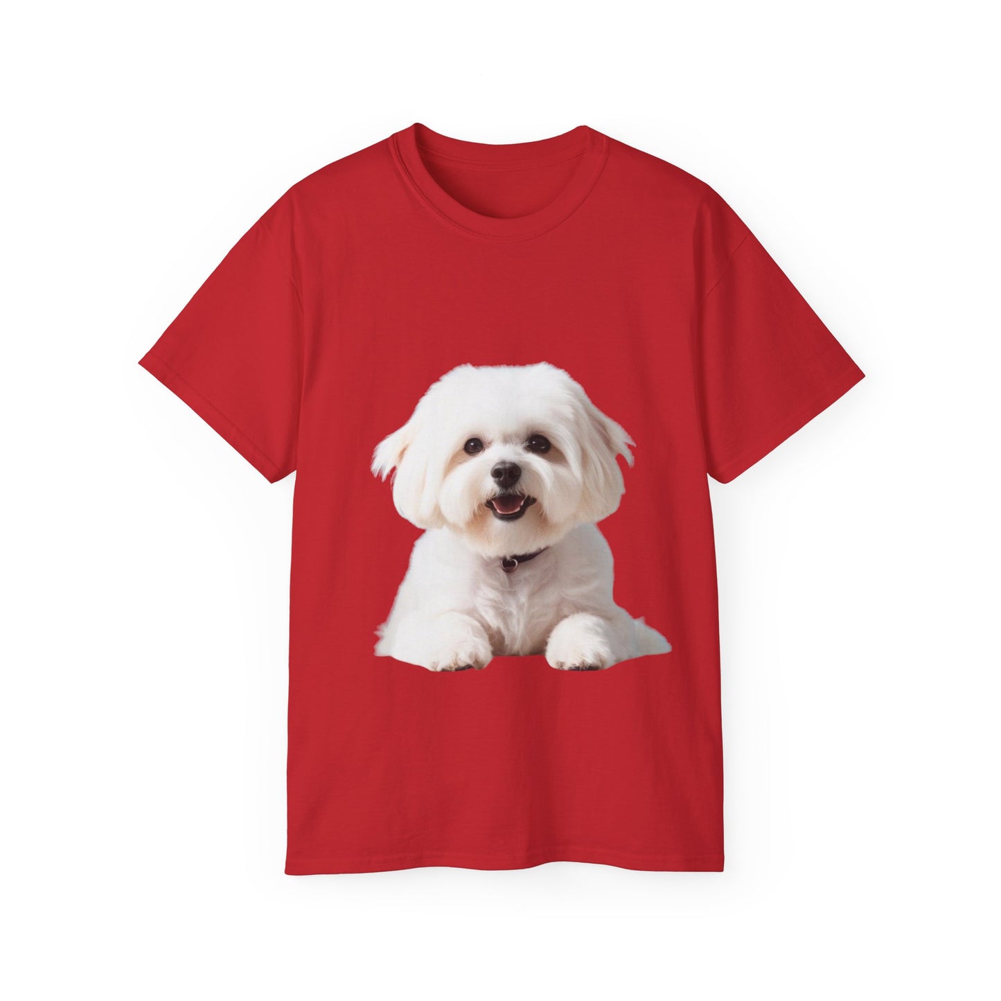 🐕 Bichon Frisé - Maglietta Unisex Ultra Cotone con Design Esclusivo
