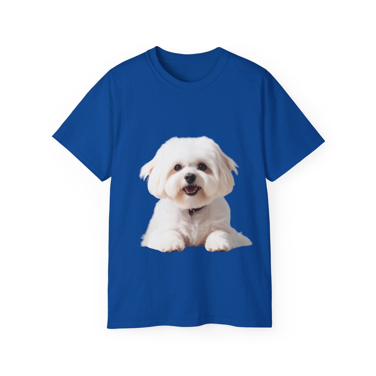 🐕 Bichon Frisé - Maglietta Unisex Ultra Cotone con Design Esclusivo