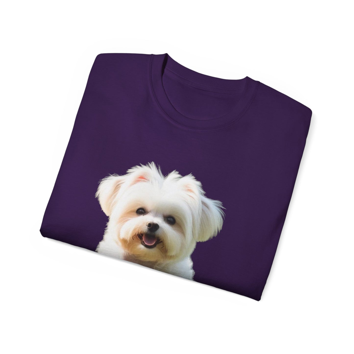 🐕 MAGLIETTA BICHON MALTEZ RITRATO - Maglietta Unisex Ultra Cotone