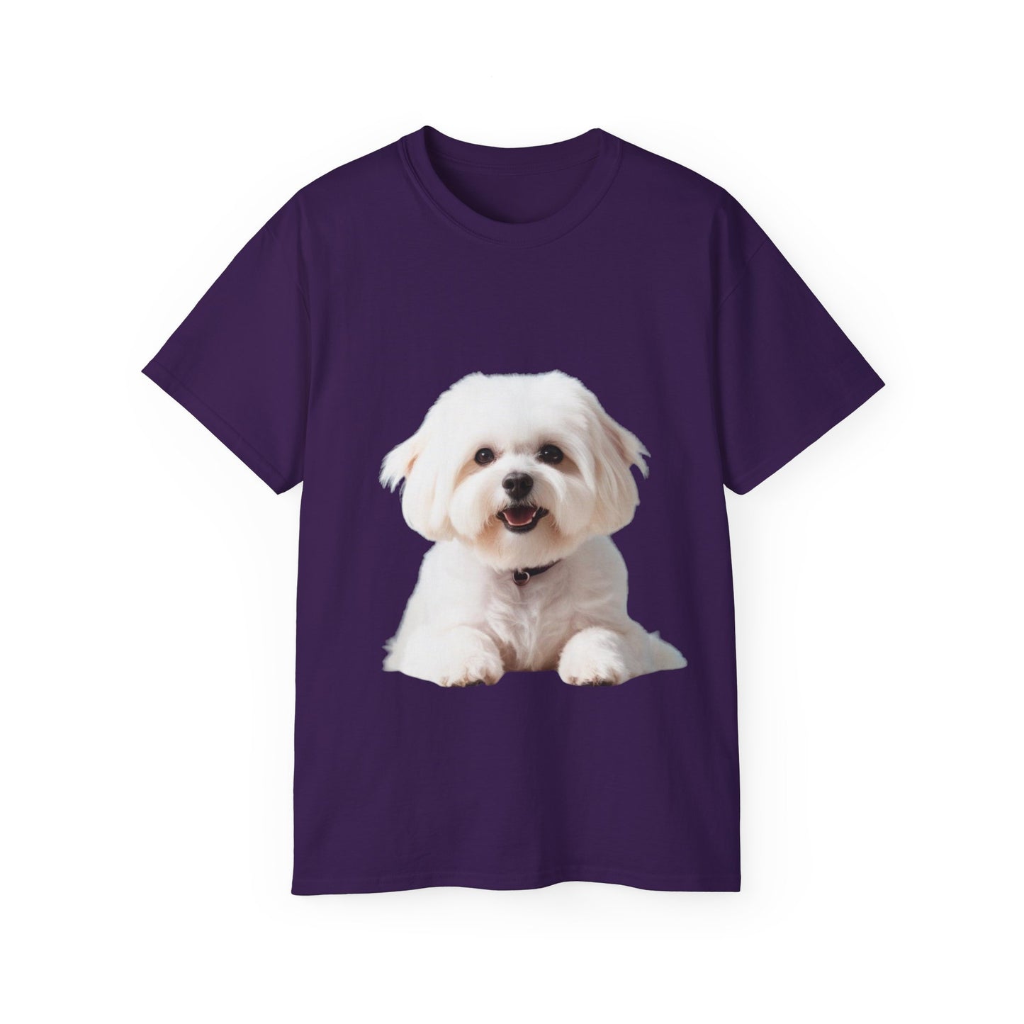 🐕 Bichon Frisé - Maglietta Unisex Ultra Cotone con Design Esclusivo