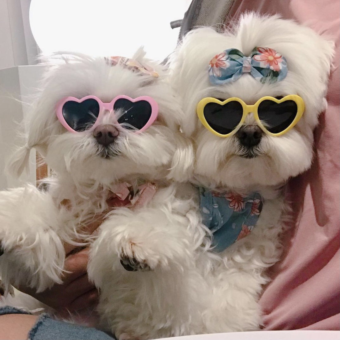 Ochelari de soare creativi pentru caini si pisici - Accesorii moda pentru animale de companie