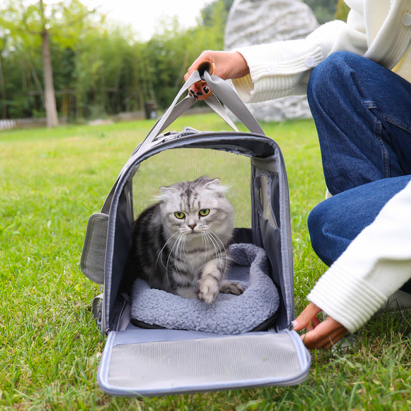 Borsa Trasportino Pieghevole per Animali Domestici - 4 Colori, Grande Capacità e Materiale Resistente